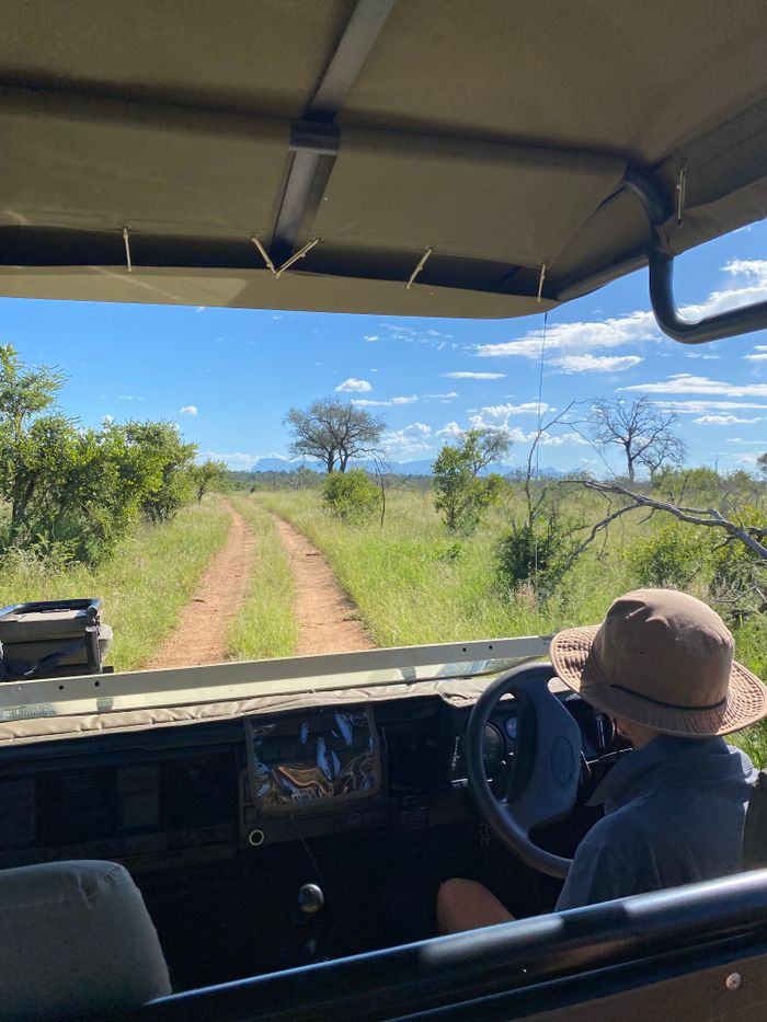 Explore the scenic beauty of Kruger Park on a guided safari tour with breathtaking landscapes.